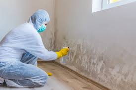 Eleanor, WV Mold Removal Company