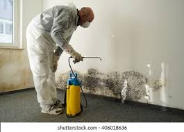 Mold Removal